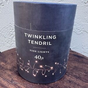Terrain NEW Stargazer Twinkling Tendril Lights 40ft Warm Bendable